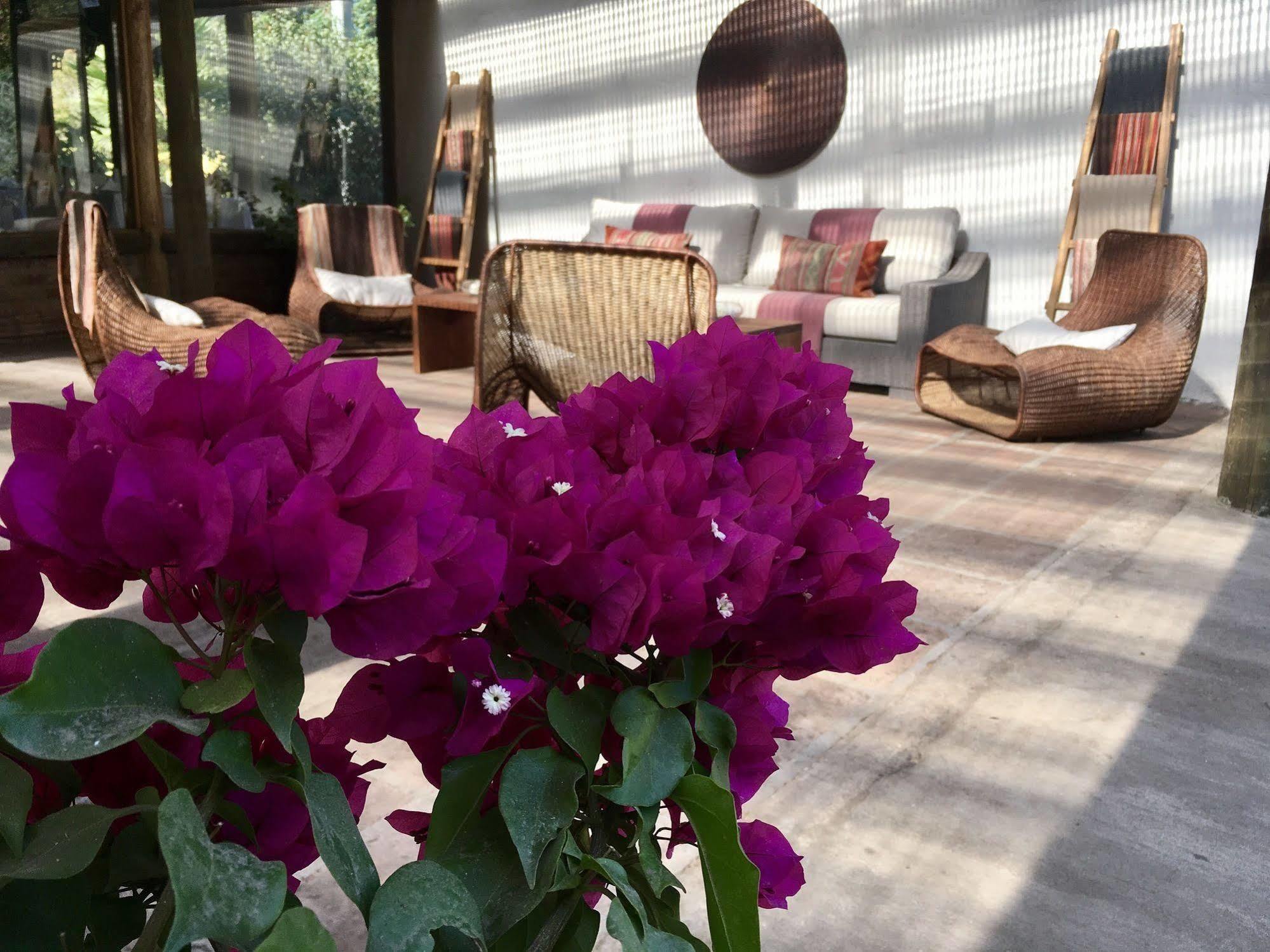 Hotel Casa De Campo سانتا كروز المظهر الخارجي الصورة